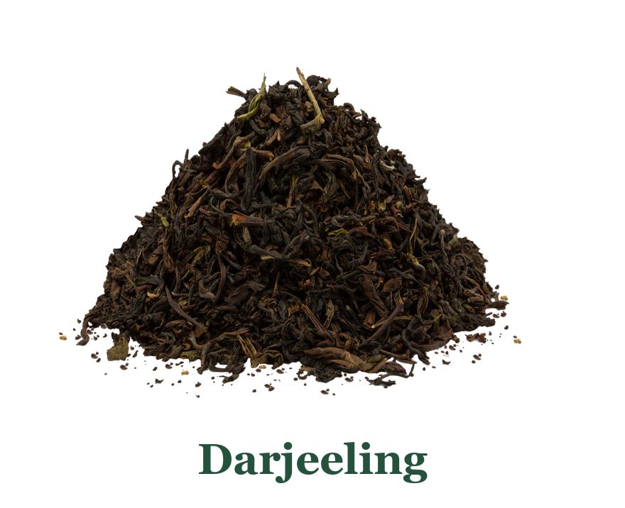 Darjeeling: so verwenden Sie es in der Küche