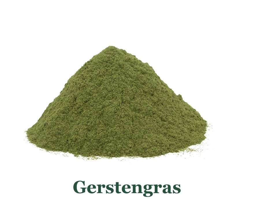 Gerstengras: so verwenden Sie es in der Küche