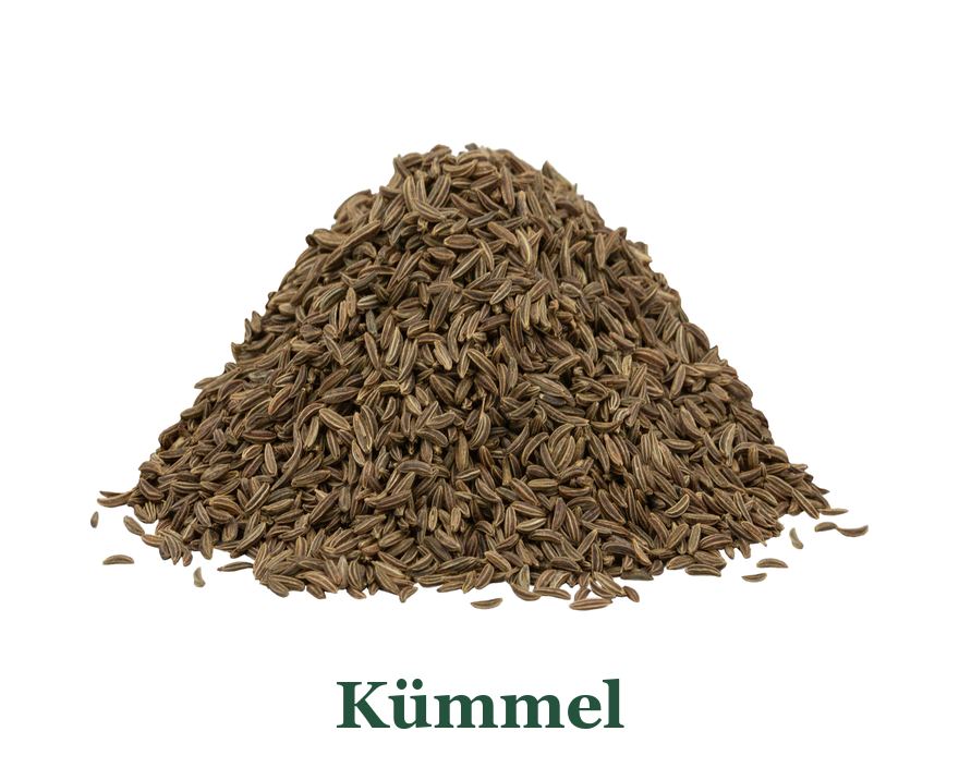 Kümmel für Tee