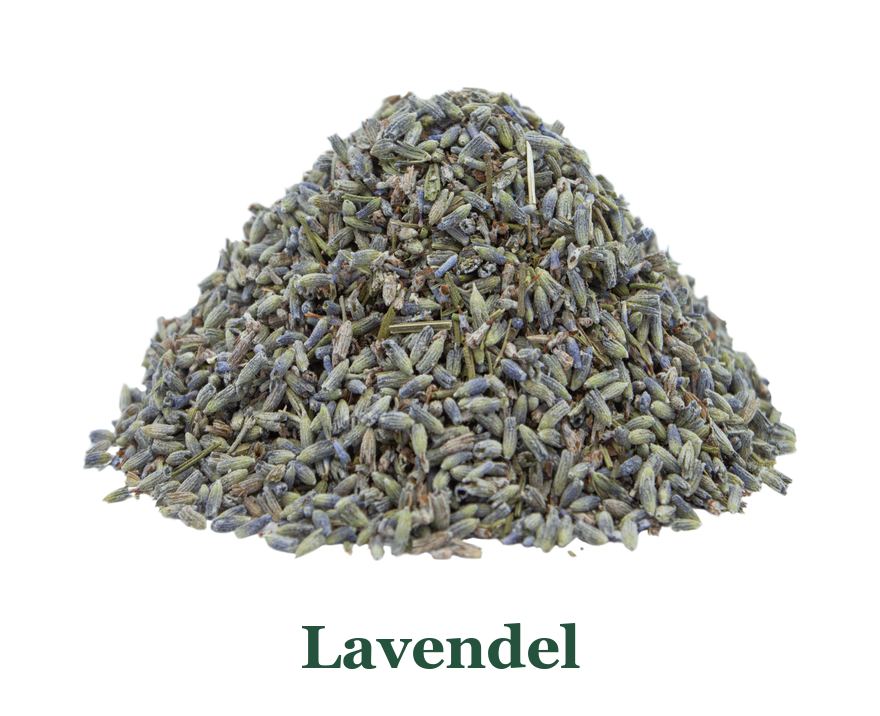 Lavendel: von der Pflanze zum Gewürz