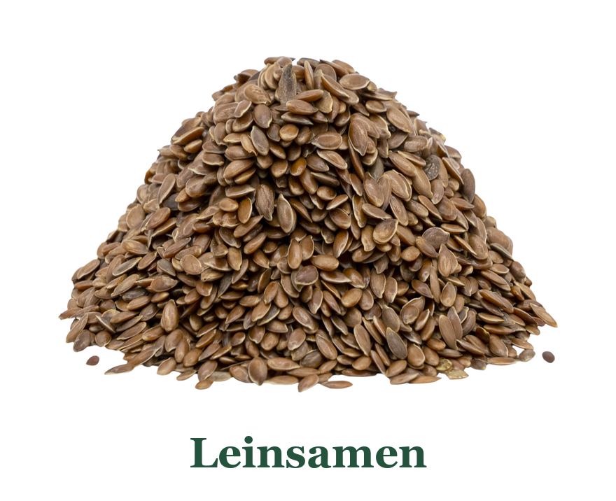 Leinsamen: so verwenden Sie es in der Küche