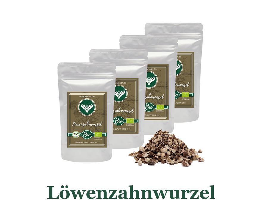 Löwenzahnwurzel: so verwenden Sie es in der Küche
