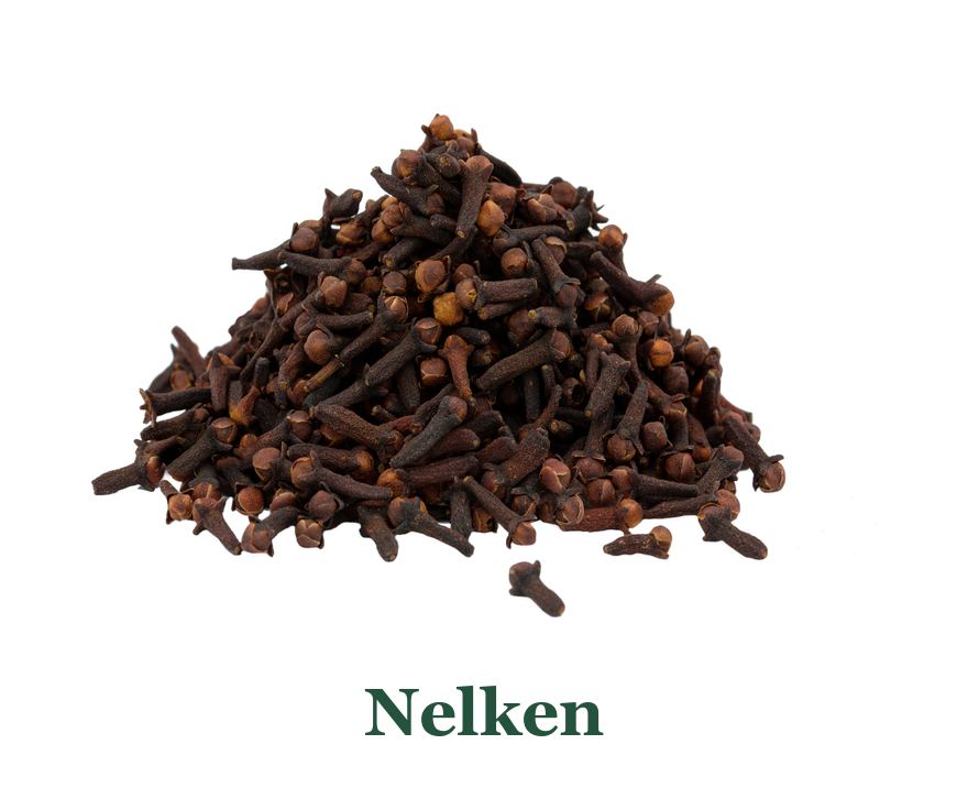 Nelken: von der Pflanze zum Gewürz