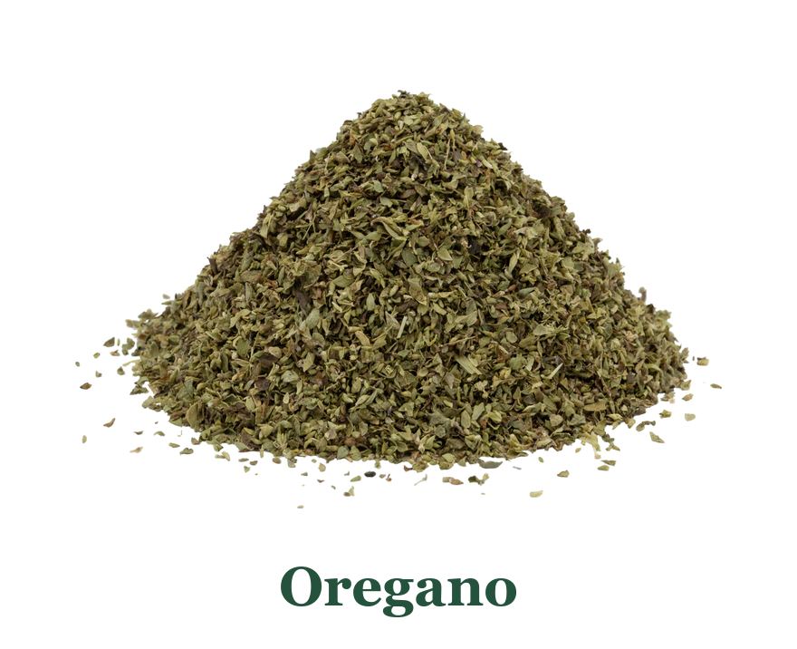 Oregano: von der Pflanze zum Gewürz