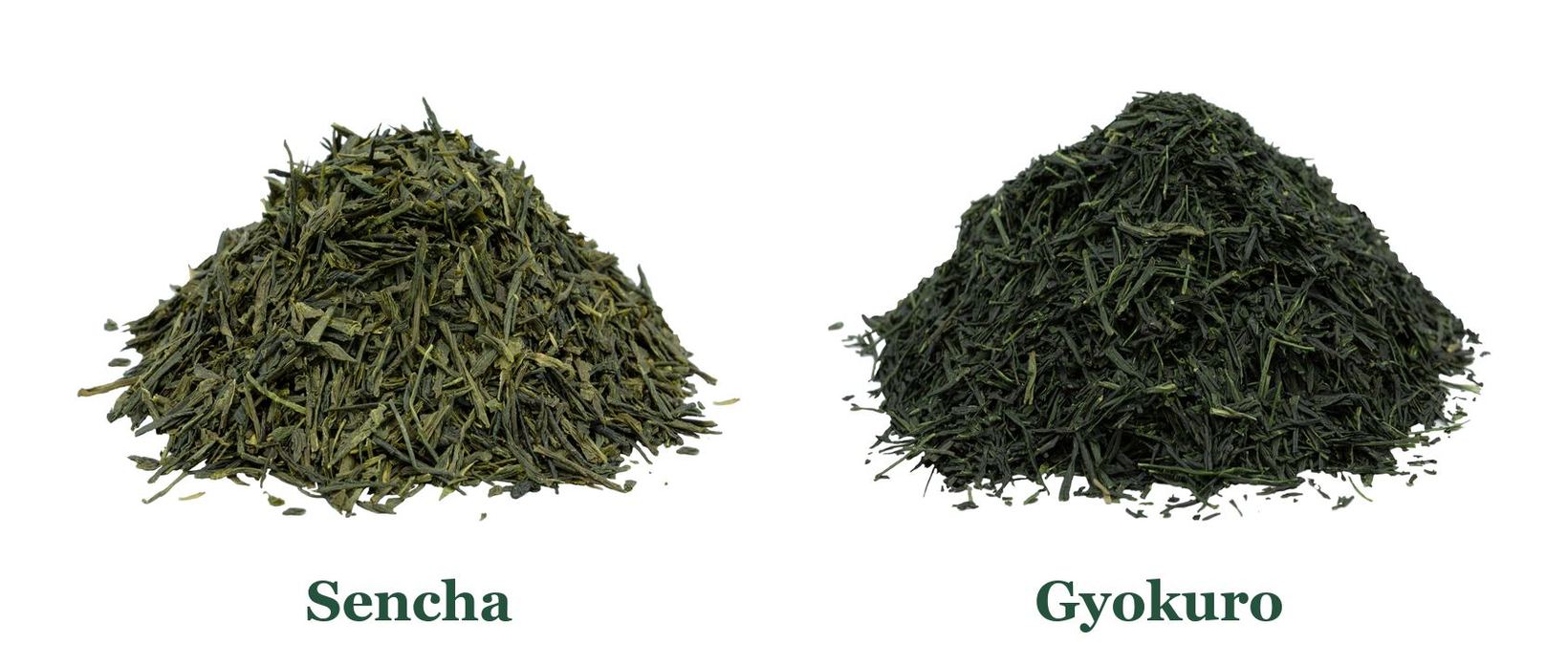 Grüner Tee Sencha und Gyokuro