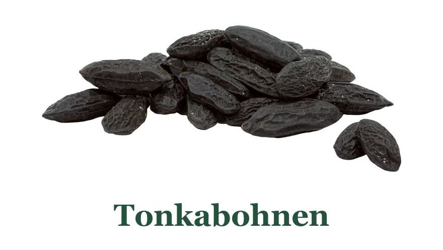 Getrocknete Tonkabohnen aus Südamerika