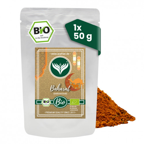 BIO Baharat (50g)