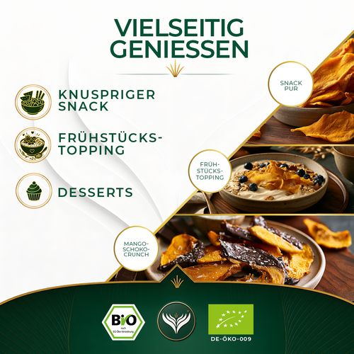 BIO Mangoscheiben getrocknet 1kg
