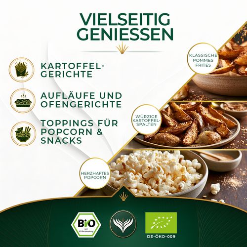 BIO Frittensalz (500g)