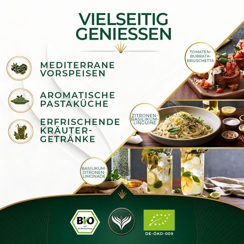 BIO-Basilikum (500 Gramm)