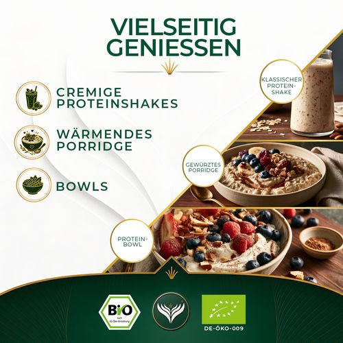 BIO Proteinshake Gewürz (500g)