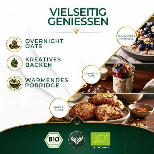 BIO Oat / Porridge Gewürz (500g)
