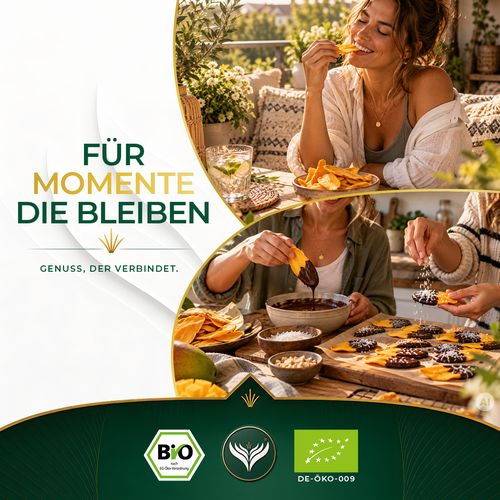 BIO Mangoscheiben getrocknet 1kg